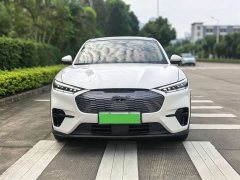 Ford Electric Horse 2021 Rear-wheel drive version (standard range) - фото 2