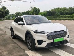 Ford Electric Horse 2021 Rear-wheel drive version (standard range) - фото 5