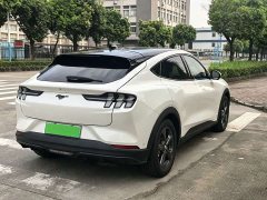 Ford Electric Horse 2021 Rear-wheel drive version (standard range) - фото 6