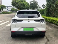 Ford Electric Horse 2021 Rear-wheel drive version (standard range) - фото 7