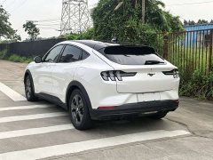 Ford Electric Horse 2021 Rear-wheel drive version (standard range) - фото 8