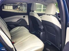 Ford Electric Horse 2021 Borderless RWD Deluxe Edition (Long Range) - фото 10