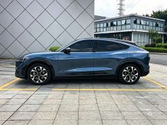Ford Electric Horse 2021 Borderless RWD Deluxe Edition (Long Range) - фото 14