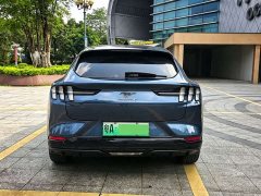 Ford Electric Horse 2021 Borderless RWD Deluxe Edition (Long Range) - фото 16