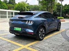 Ford Electric Horse 2021 Borderless RWD Deluxe Edition (Long Range) - фото 17