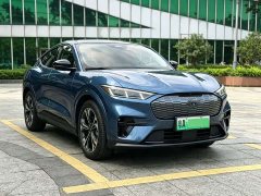 Ford Electric Horse 2021 Borderless RWD Deluxe Edition (Long Range) - фото 2