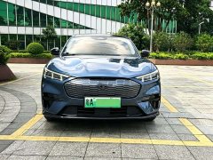 Ford Electric Horse 2021 Borderless RWD Deluxe Edition (Long Range) - фото 3