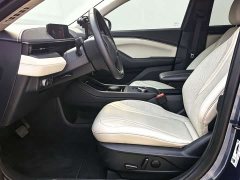 Ford Electric Horse 2021 Borderless RWD Deluxe Edition (Long Range) - фото 4