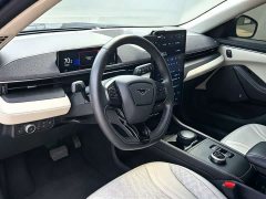 Ford Electric Horse 2021 Borderless RWD Deluxe Edition (Long Range) - фото 5