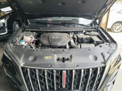 Hongqi HS5 2.0T two-wheel drive Qixiang Pro version - фото 20