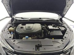 Ford EADO PLUS Blue Whale NE 1.4T GDI DCT Premium Type - фото 10