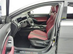 Ford EADO PLUS Blue Whale NE 1.4T GDI DCT Premium Type - фото 9