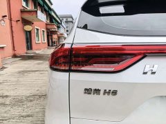 Haval H6 2021 National Fashion Edition 1.5T Automatic Urban Edition - фото 11