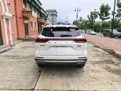 Haval H6 2021 National Fashion Edition 1.5T Automatic Urban Edition - фото 6