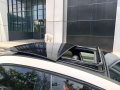 Mercedes-Benz A-Class AMG A 35 L 4MATIC - фото 16