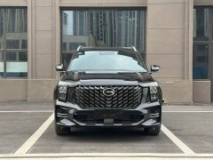 Trumpchi GS8 2.0TGDI 2WDLuxury Edition 5 - фото 2