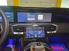 Hongqi E-HS9 2021 Qixian Edition 6-Seater - фото 13