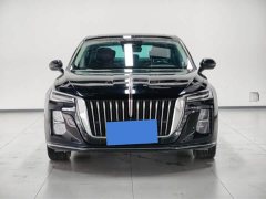 Hongqi H5 2.0T Automatic Zhilian Qichang Edition - фото 2