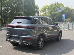 Changan CS55 PLUS Blue Whale Edition 1.5T DCT Luxury - фото 5