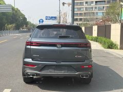 Changan CS55 PLUS Blue Whale Edition 1.5T DCT Luxury - фото 6