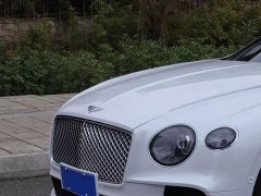 Bentley Continental 2023 4.0T GT S V8 - фото 6