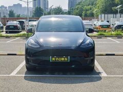 Tesla Model Y long-range all-wheel drive version - фото 2