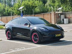 Tesla Model Y long-range all-wheel drive version - фото 3