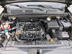 Geely Boyue 1.8TD DCT 2WD Asian Games Edition - фото 12