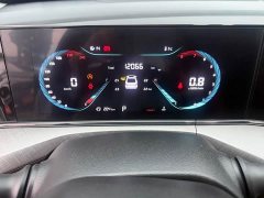 Ford EADO Enjoy Edition PLUS Blue Whale NE 1.4T GDI DCT Premium Edition - фото 20