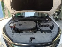 Ford Eado PLUS 1.6L GDI CVT luxury - фото 20