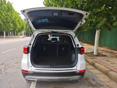 Changan CS75 Blue Whale Edition 1.5T DCT Premium Type - фото 19