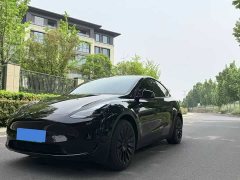 Tesla Model Y 2022 rear-wheel drive version - фото 1