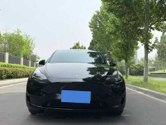 Tesla Model Y 2022 rear-wheel drive version - фото 2