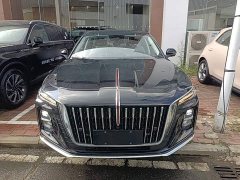 Hongqi H5 2025 2.0T automatic Qichang version - фото 3