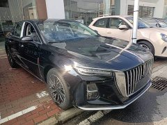 Hongqi H5 2025 2.0T automatic Qichang version - фото 4