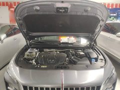 Hongqi H5 2023 2.0T Automatic Zhilianqichang Edition - фото 20