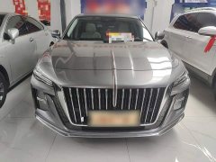Hongqi H5 2023 2.0T Automatic Zhilianqichang Edition - фото 3