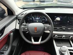 Hongqi HS5 2.0T two-wheel drive Qixiang Pro version - фото 11