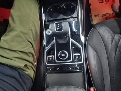 Hongqi HS5 2022 facelift 2.0T Zhilian Qixiang four-wheel drive version - фото 14
