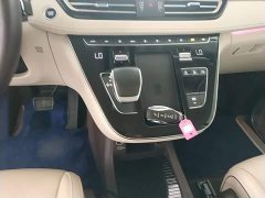 Hongqi HQ9 2023 2.0T Zhilian Qiling Edition - фото 14