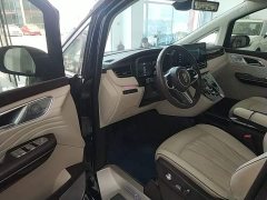 Hongqi HQ9 2023 2.0T Zhilian Qiling Edition - фото 16