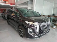 Hongqi HQ9 2023 2.0T Zhilian Qiling Edition - фото 4