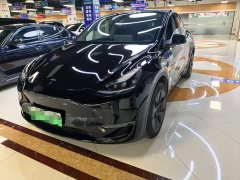 Tesla Model Y 2023 long-range all-wheel drive version - фото 1