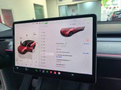 Tesla Model Y 2023 long-range all-wheel drive version - фото 11