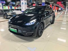 Tesla Model Y 2023 long-range all-wheel drive version - фото 12