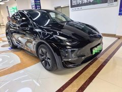 Tesla Model Y 2023 long-range all-wheel drive version - фото 3