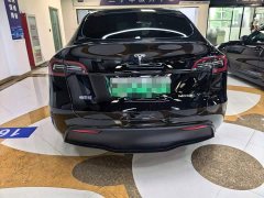Tesla Model Y 2023 long-range all-wheel drive version - фото 5