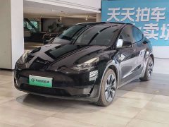Tesla Model Y rear-wheel drive version - фото 1