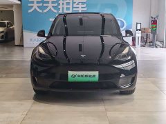 Tesla Model Y rear-wheel drive version - фото 2
