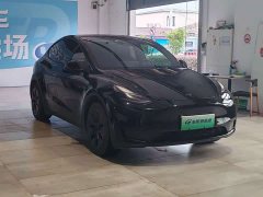 Tesla Model Y rear-wheel drive version - фото 3